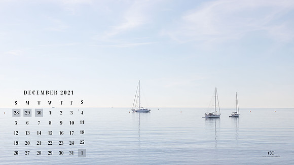 December 2021 Desktop Screensaver | Cattie Coyle Photography