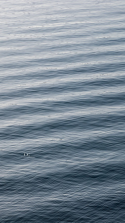 Waves by Cattie Coyle Photography | Phone Wallpaper