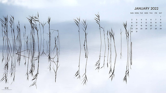 Reflections No. 1 - Desktop Screensaver January 2022 | Cattie Coyle Photography