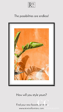Banana Leaves and Orange Wall - Framed photography art print by Cattie Coyle