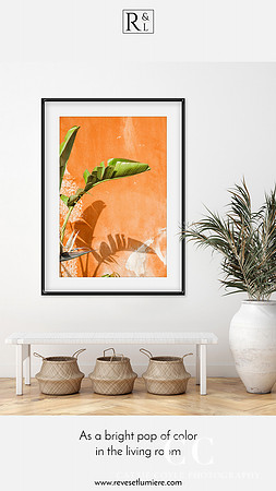 Banana Leaves and Orange Wall - France photography art print by Cattie Coyle