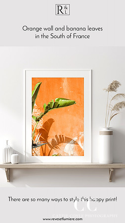 Banana Leaves and Orange Wall - French Riviera photography art print by Cattie Coyle