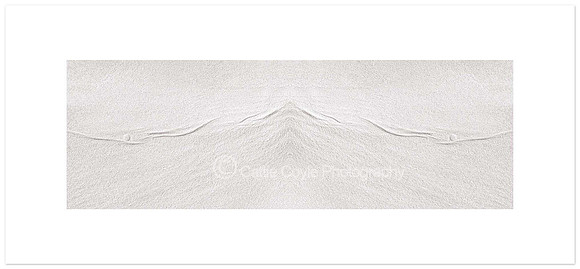 Sandscape No. 2 | Cattie Coyle Photography