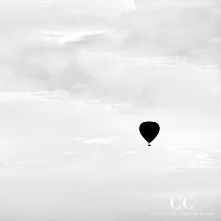 The Journey © Cattie Coyle Photography - All rights reserved