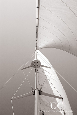 Sailing No. 2 | Cattie Coyle Photography