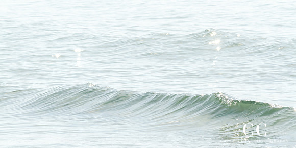 Summer by Cattie Coyle Photography